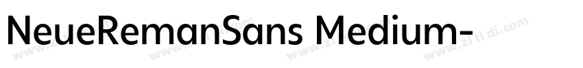 NeueRemanSans Medium字体转换